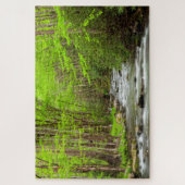 Nationaal Park North Carolina Legpuzzel (Verticaal)