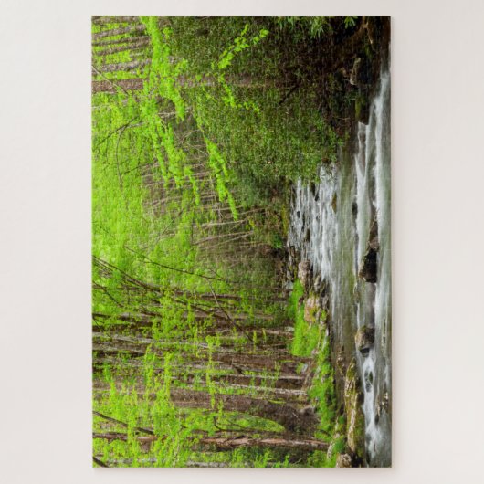 Nationaal Park North Carolina Legpuzzel (Verticaal)