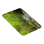 Nationaal Park North Carolina Magneet (Rechterzijde)