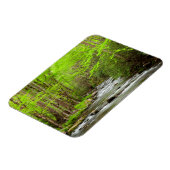 Nationaal Park North Carolina Magneet (Linkerzijde)