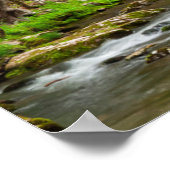 Nationaal Park North Carolina Poster (Hoek)