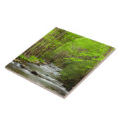 Nationaal Park North Carolina Tegeltje (Zijkant)