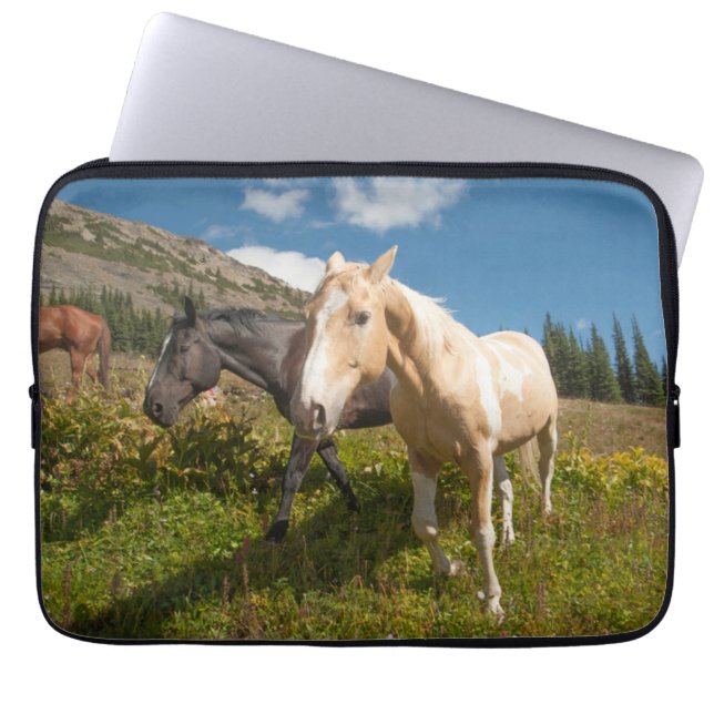 Nationaal park North Cascades Laptop Sleeve (Voorkant)
