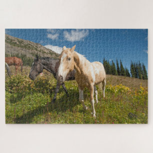 Nationaal park North Cascades Legpuzzel