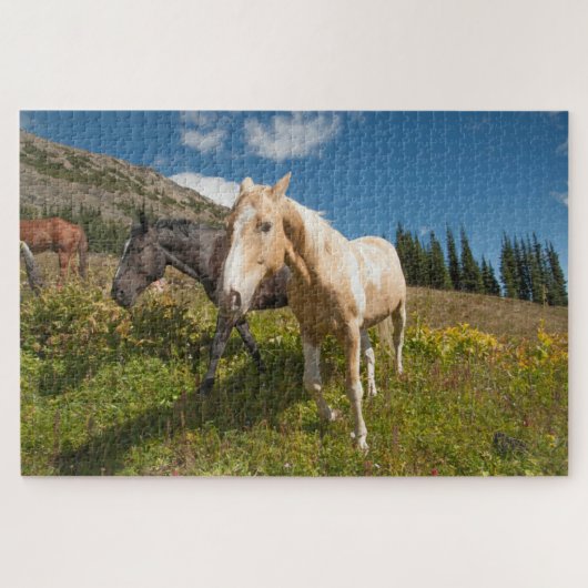 Nationaal park North Cascades Legpuzzel (Horizontaal)