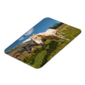 Nationaal park North Cascades Magneet (Linkerzijde)