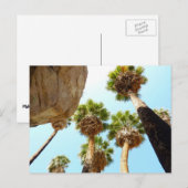 Nationaal Park Oasis Palms bij Joshua Briefkaart (Voorkant / Achterkant)