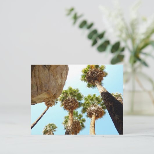 Nationaal Park Oasis Palms bij Joshua Briefkaart (Staand voorkant)