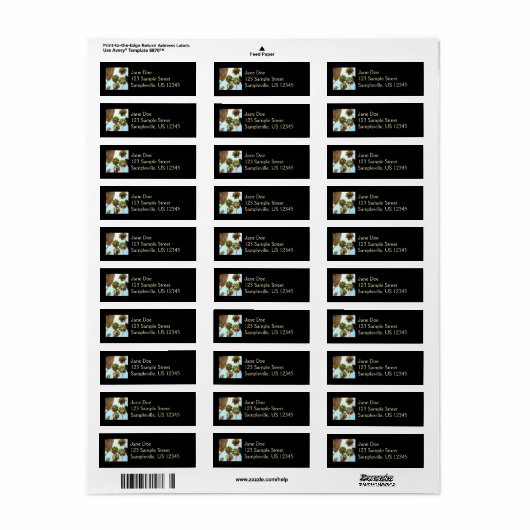 Nationaal Park Oasis Palms bij Joshua Etiket (Full Sheet)