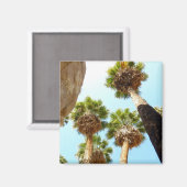 Nationaal Park Oasis Palms bij Joshua Magneet (Voorkant / Achterkant)