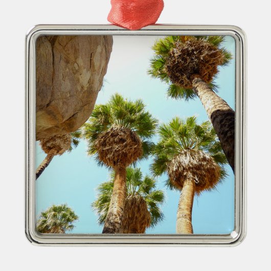 Nationaal Park Oasis Palms bij Joshua Metalen Ornament (Voorkant)