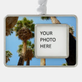 Nationaal Park Oasis Palms bij Joshua Verzilverd Omlijst Ornament (Voorkant)