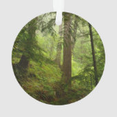 Nationaal Park Ornament (achterkant)