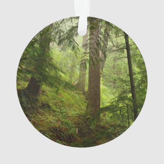 Nationaal Park Ornament (achterkant)