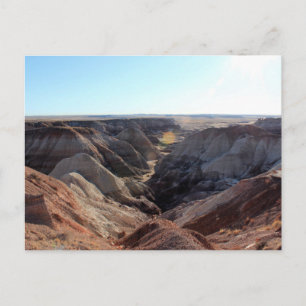 Nationaal park Petrified Forest Briefkaart