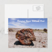 Nationaal park Petrified Forest Briefkaart (Voorkant / Achterkant)