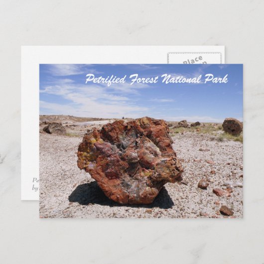 Nationaal park Petrified Forest Briefkaart (Voorkant / Achterkant)