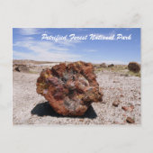 Nationaal park Petrified Forest Briefkaart (Voorkant)