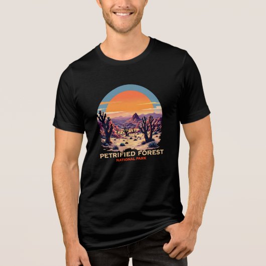 Nationaal park Petrified Forest Desert Tri-Blend Shirt (Voorkant)