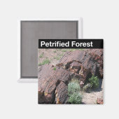 Nationaal park Petrified Forest Magneet (Voorkant / Achterkant)