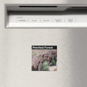 Nationaal park Petrified Forest Magneet (Insitu (Vaatwasser))