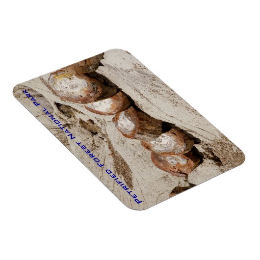 Nationaal park Petrified Forest Magneet (Rechterzijde)