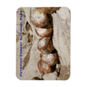 Nationaal park Petrified Forest Magneet (Verticaal)