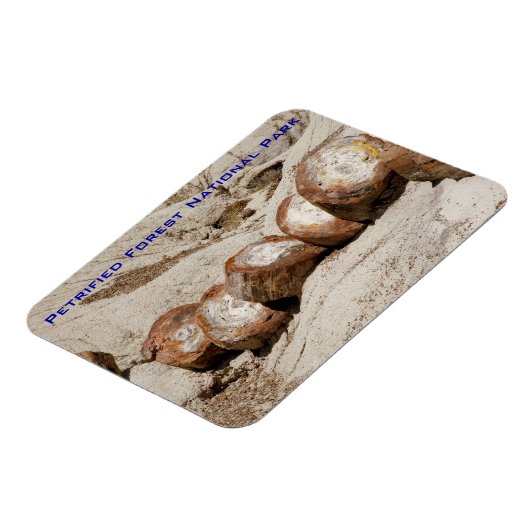 Nationaal park Petrified Forest Magneet (Linkerzijde)