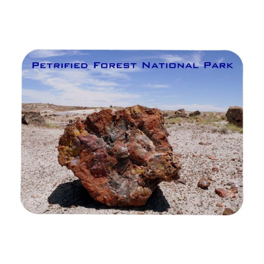 Nationaal park Petrified Forest Magneet (Horizontaal)