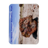 Nationaal park Petrified Forest Magneet (Verticaal)
