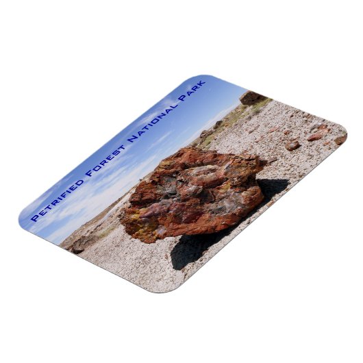 Nationaal park Petrified Forest Magneet (Linkerzijde)