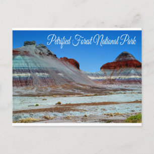 Nationaal park Petrified Forest National Park, Bri Briefkaart