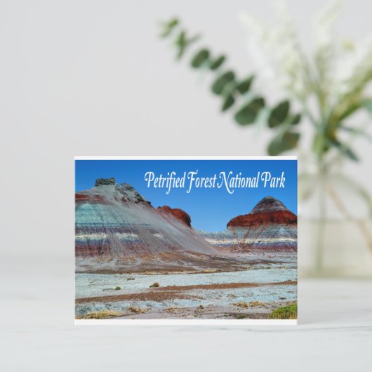 Nationaal park Petrified Forest National Park, Bri Briefkaart (Staand voorkant)