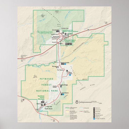 Nationaal park Petrified Forest Poster (Voorkant)