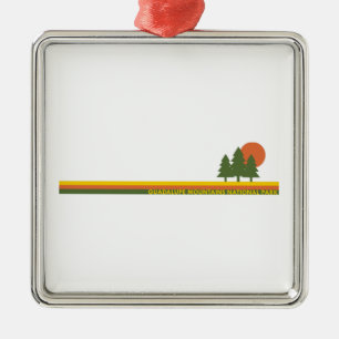 Nationaal Park Pine Trees Sun in Guadalupe Metalen Ornament