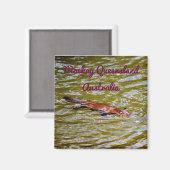 NATIONAAL PARK PLATYPUS EUNGELLA AUSTRALIË MAGNEET (Voorkant / Achterkant)