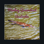 NATIONAAL PARK PLATYPUS EUNGELLA AUSTRALIË MAGNEET<br><div class="desc">PLATYPUS EUNGELLA NATIONAAL PARK QUEENSLAND AUSTRALIË</div>