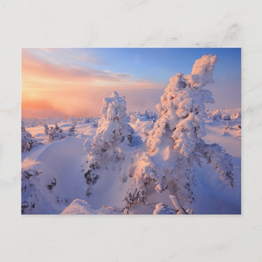 Nationaal park Quebec Mont Logan Sunrise Gaspesie Briefkaart (Voorkant)