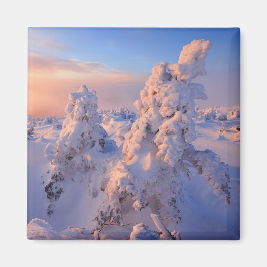 Nationaal park Quebec Mont Logan Sunrise Gaspesie Magneet (Voorkant)