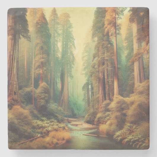  nationaal park Redwood Californië Stenen Onderzetter (Voorkant)