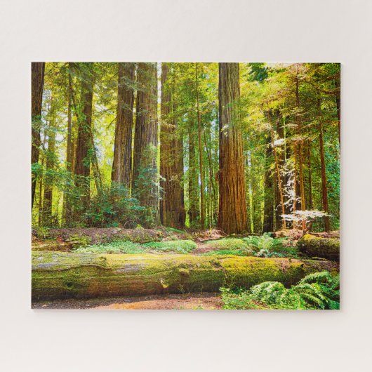 Nationaal park Redwood in Californië Legpuzzel (Horizontaal)