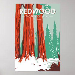 Nationaal park Redwood in Winter Californië  Poster
