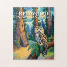 Nationaal park Redwood Kleurrijk bos Uil Wilde die