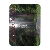 Nationaal park Redwood Magnet Magneet (Verticaal)
