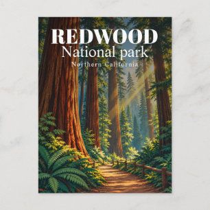 Nationaal park Redwood Noord-Californië Vintage Briefkaart