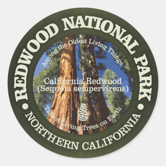 Nationaal park Redwood Ronde Sticker (Voorkant)