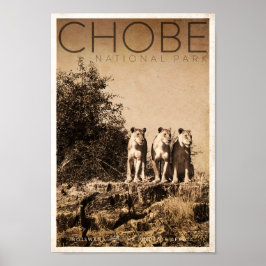  nationaal park reisbureau Chobe Poster