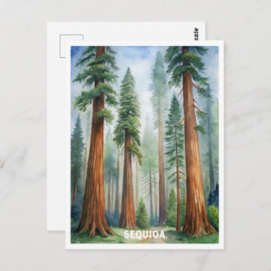 Nationaal park Retro Sequoia Briefkaart (Voorkant / Achterkant)