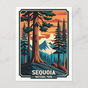 Nationaal park Retro Sequoia Briefkaart