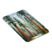 Nationaal park Retro Sequoia Magneet (Rechterzijde)